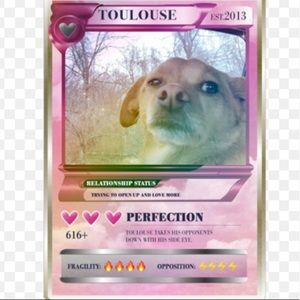 Ariana Grande & Toulouse trading cards.